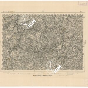 REYMANN'S TOPOGRAPHISCHER SPECIAL KARTE VON MITTEL EUROPA - EULE F 206
