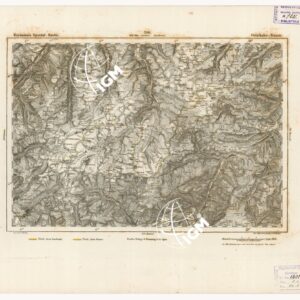 REYMANN'S TOPOGRAPHISCHER SPECIAL KARTE VON MITTEL EUROPA - OETZTHALER FERNER F 310