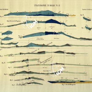 CARTA E CORTES GEOLOGICOS STRATGRAPHIE DUMALM Torres-Vedras