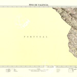 MAPA TOPOGRAFICO DE ESPANA - Pino de Valencia - Foglio 726