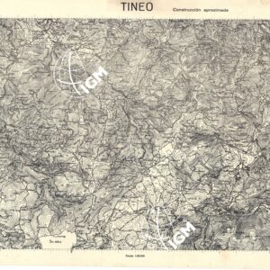 MAPA TOPOGRAFICA DE ESPANA - Tineo