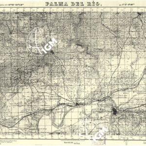 MAPA TOPOGRAFICA DE ESPANA - Palma del Rio