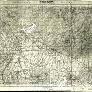 MAPA TOPOGRAFICA DE ESPANA - Foglio 1011 - Guadix