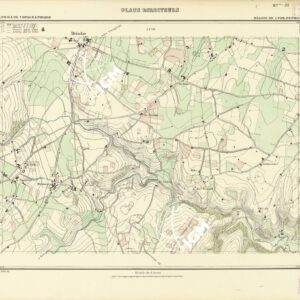 PLANS DIRECTEURS - REGION DE LYON FEUILLE 100