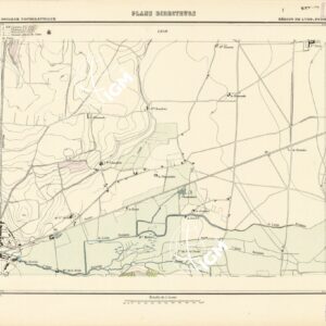 PLANS DIRECTEURS - REGION DE LYON FEUILLE 133