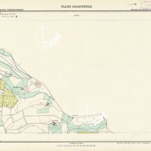 PLANS DIRECTEURS - REGION DE MACON FEUILLE 450