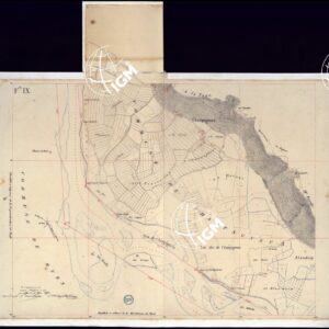 TABLEAU D'ASSEMBLAGE DE CARTE DES BASSINS INONDABLES DU RHONE ET DU GUIERS RELATIVE AUX LIGNES LATERALES LEVEE ET DESSINEE A' L'ECHELLE D'UN 5.000 ME PAR LES CAP. NES DU GENIE CIVIL MELANO ET BAGETTI - FOGLIO IX.