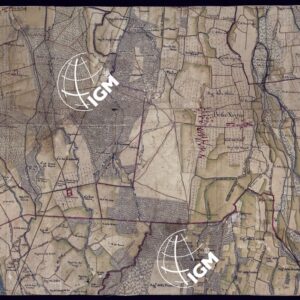 CARTA DEL CANAVESE - FOGLIO 16.