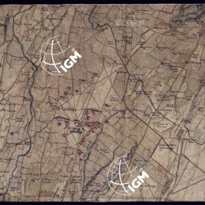 CARTA DEL CANAVESE - FOGLIO 19.