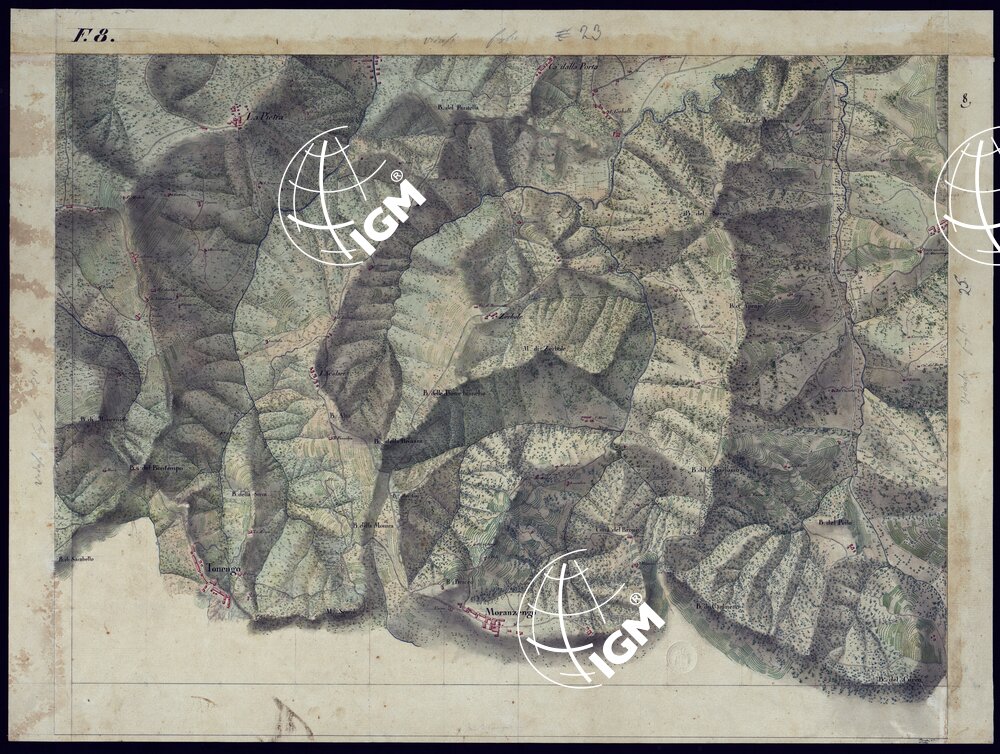 TORINO E DINTORNI - FOGLIO 8.