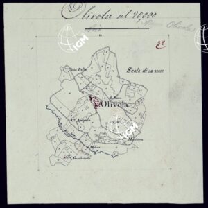 TERRITORIO COMPRESO TRA RACCONIGI, MORETTA, SAVIGLIANO, ALESSANDRIA ED IVREA - OLIVOLA.