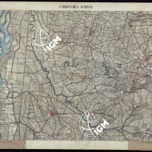 TERRITORIO COMPRESO TRA ALESSANDRIA, CASALE, VOLPEDO E TRA PAVIA, CASTEGGIO E PIACENZA  CARBONARA SCRIVIA - FOGLIO 35.