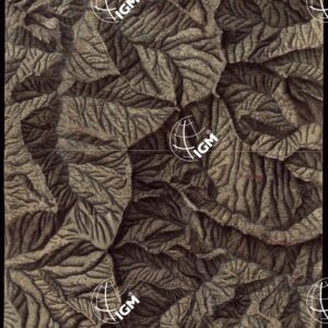 RIVIERA DI LEVANTE ALLA QUARTA DELLA SCALA DI SAVOIA OSSIA DI 1 A 9.450 ESEGUITA NEGLI ANNI 1816. 1822. 23. 24. 25. 1826 e 1827 - FOGLIO 48.