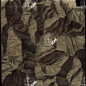 RIVIERA DI LEVANTE ALLA QUARTA DELLA SCALA DI SAVOIA OSSIA DI 1 A 9.450 ESEGUITA NEGLI ANNI 1816. 1822. 23. 24. 25. 1826 e 1827 - FOGLIO 70.