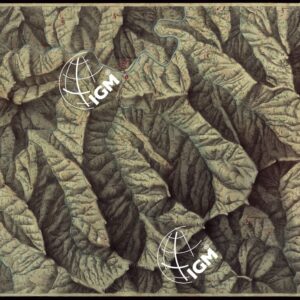 RIVIERA DI LEVANTE ALLA QUARTA DELLA SCALA DI SAVOIA OSSIA DI 1 A 9.450 ESEGUITA NEGLI ANNI 1816. 1822. 23. 24. 25. 1826 e 1827 - FOGLIO 86.