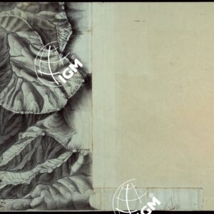 RIVIERA DI LEVANTE ALLA QUARTA DELLA SCALA DI SAVOIA OSSIA DI 1 A 9.450 ESEGUITA NEGLI ANNI 1816. 1822. 23. 24. 25. 1826 e 1827 - FOGLIO 94.