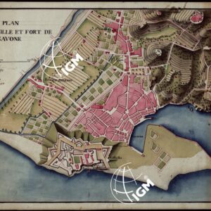 PLAN DE LA VILLE ET FORT DE SAVONE