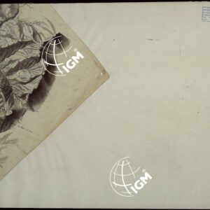 RILIEVI TOPOGRAFICI ALLA SCALA DI 1 a 9.450 ABBRACCIANTI LA PARTE DI TERRITORIO BAGNATO DAI FIUMI MAGRA E VARA CHE FORMAVA PARTE DEL CONFINE ORIENTALE DEGLI EX STATI SARDI - FOGLIO 20