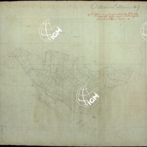 ORTONOVO - ALLINEAMENTI