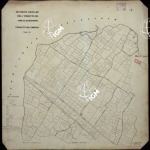 RILEVAMENTO PARCELLARE COLLA TAVOLETTA NEL COMUNE DI ORTONOVO - TAVOLETTA DI CERRIANO