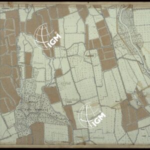 CARTA DEI DINTORNI DI RACCONIGI - FOGLIO 7