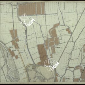 CARTA DEI DINTORNI DI RACCONIGI - FOGLIO 8