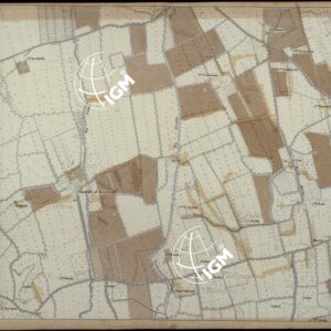 CARTA DEI DINTORNI DI RACCONIGI - FOGLIO 10