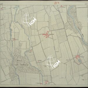 CARTA DEI DINTORNI DI RACCONIGI - FOGLIO 7