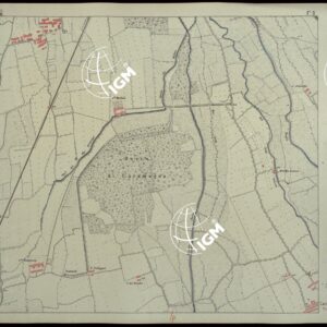 CARTA DEI DINTORNI DI RACCONIGI - FOGLIO 9