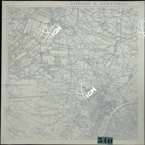 TORINO E DINTORNI - VERDE, CESPUGLIATO.