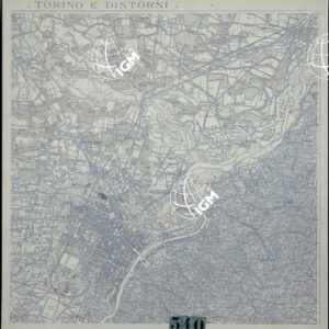 TORINO E DINTORNI - VERDE, CESPUGLIATO.