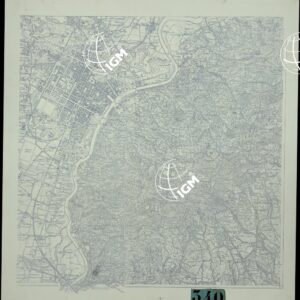 TORINO E DINTORNI - VERDE, CESPUGLIATO.