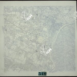 TORINO E DINTORNI - VERDE, CESPUGLIATO.