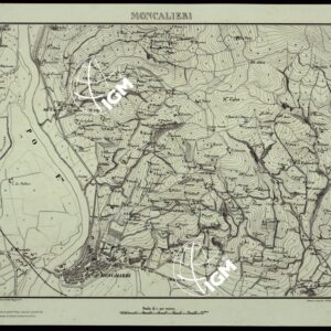 TORINO E DINTORNI - F°.N°. 5 MONCALIERI