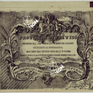 TOPOGRAFIA DELLA PROVINCIA DI TREVISO PER OPERA DELL'ING. ARCH. CIV. D'AGOSTINO CASSINIS MEDIANTE LA FOTOGRAFIA DALLA CARTE DELL'ISTITUTO GEOG. MILIT. DI VIENNA TRADOTTA IN SCALA DI 1 43,200 E RETTIFICATA SECONDO LE VARIAZIONI AVVENUTE FINO AL 1876.
