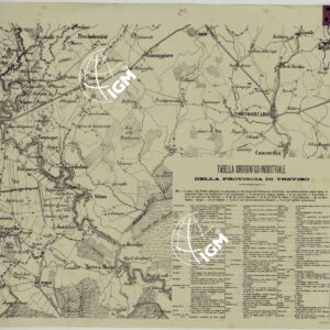 TOPOGRAFIA DELLA PROVINCIA DI TREVISO PER OPERA DELL'ING. ARCH. CIV. D'AGOSTINO CASSINIS MEDIANTE LA FOTOGRAFIA DALLA CARTE DELL'ISTITUTO GEOG. MILIT. DI VIENNA TRADOTTA IN SCALA DI 1 43,200 E RETTIFICATA SECONDO LE VARIAZIONI AVVENUTE FINO AL 1876.