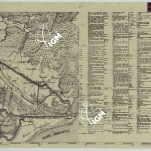 TOPOGRAFIA DELLA PROVINCIA DI TREVISO PER OPERA DELL'ING. ARCH. CIV. D'AGOSTINO CASSINIS MEDIANTE LA FOTOGRAFIA DALLA CARTE DELL'ISTITUTO GEOG. MILIT. DI VIENNA TRADOTTA IN SCALA DI 1 43,200 E RETTIFICATA SECONDO LE VARIAZIONI AVVENUTE FINO AL 1876.