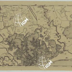 CARTA COROGRAFICA DELLA PROVINCIA DI VENEZIA PUBBLICATA A CURA DELLA DEPUTAZIONE PROVINCIALE -TAVOLA VIII