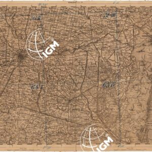 CARTA DEL LOMBARDO VENETO E ITALIA CENTRALE - FOGLIO F.5.VENEZIA