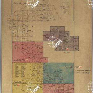 TAVOLETTE AL 20.000 PER LA CARTA DEL REGNO DI NAPOLI - QUADRO D'UNIONE DEI RILIEVI DELLA PARTE NORD-OVEST DELLE PROVINCIE NAPOLITANE.