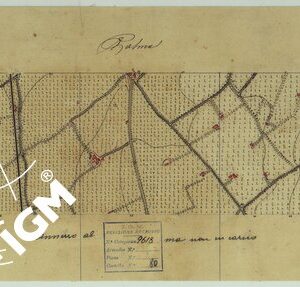 VESUVIO E DINTORNI - FOGLIO 1 PALMA CAMPANIA.