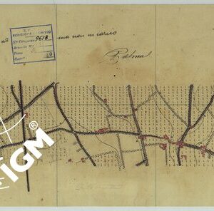 VESUVIO E DINTORNI - FOGLIO 3 PALMA CAMPANIA.
