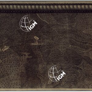 MAPPA TOPOGRAFICA DELLA CITTA' DI NAPOLI E DE' SUOI CONTORNI - FOGLIO 2.