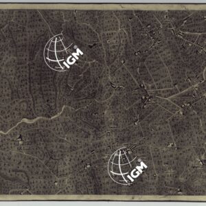 MAPPA TOPOGRAFICA DELLA CITTA' DI NAPOLI E DE' SUOI CONTORNI - FOGLIO 10.