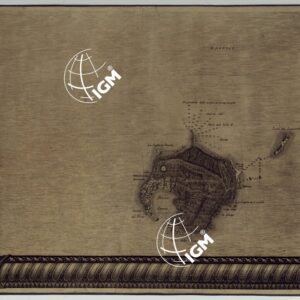 MAPPA TOPOGRAFICA DELLA CITTA' DI NAPOLI E DE' SUOI CONTORNI - FOGLIO 29.