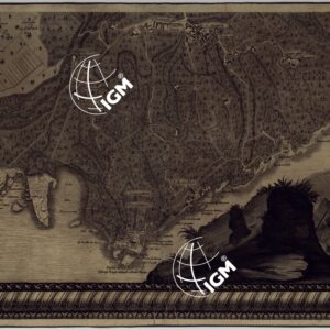 MAPPA TOPOGRAFICA DELLA CITTA' DI NAPOLI E DE' SUOI CONTORNI - FOGLIO 30.