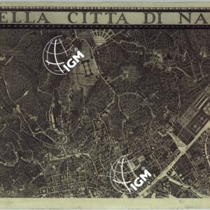 MAPPA TOPOGRAFICA DELLA CITTA' DI NAPOLI E DE' SUOI CONTORNI - FOGLIO 4.