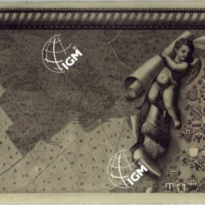 MAPPA TOPOGRAFICA DELLA CITTA' DI NAPOLI E DE' SUOI CONTORNI - FOGLIO 6.