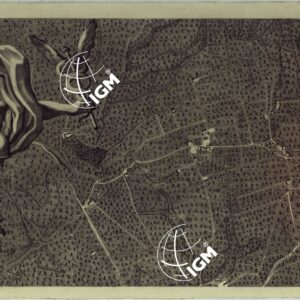 MAPPA TOPOGRAFICA DELLA CITTA' DI NAPOLI E DE' SUOI CONTORNI - FOGLIO 9.