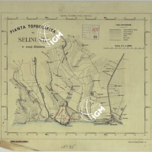 PIANTA TOPOGRAFICA DI SELINUNTE E I SUOI DINTORNI.